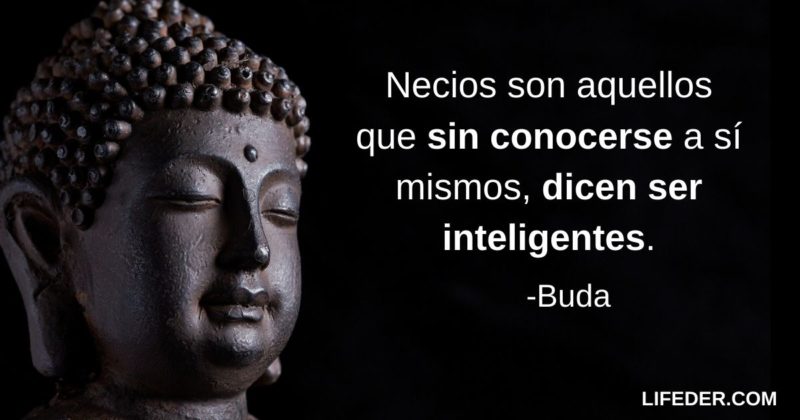 Frases De Buda Sobre La Vida Amor Y M S