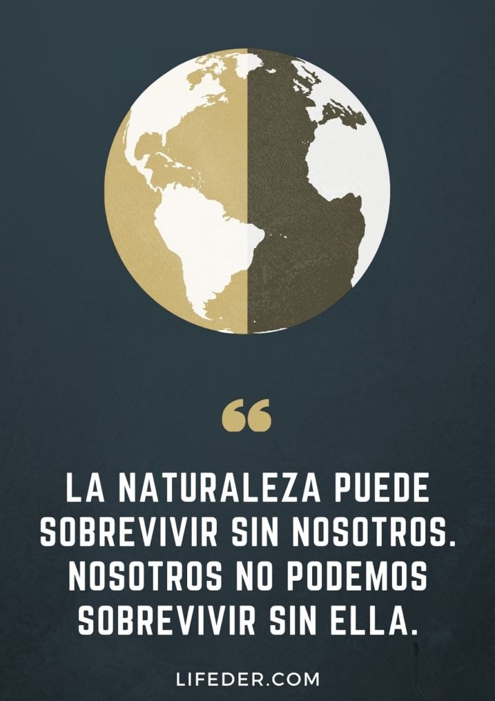 Frases Para Cuidar El Medio Ambiente Y La Naturaleza Cortas