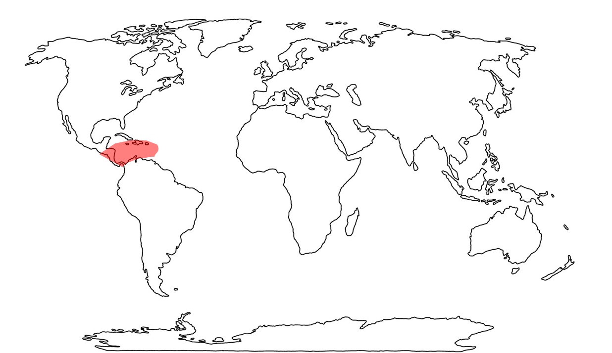 Compartir Imagen Planisferio Con Limite De Placas Tectonicas My Xxx