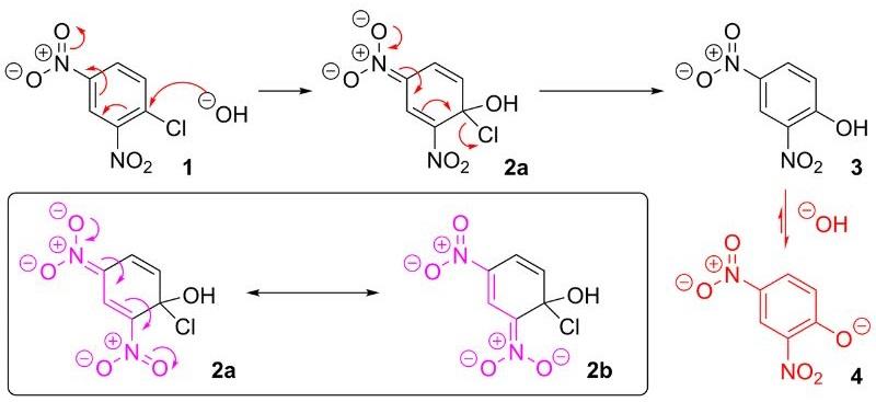 Sustitución nucleofílica aromática qué es efectos y ejemplo