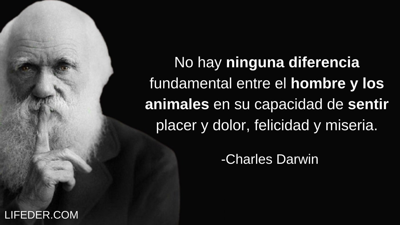 Frases De Charles Darwin Sobre La Evoluci N Y Dios