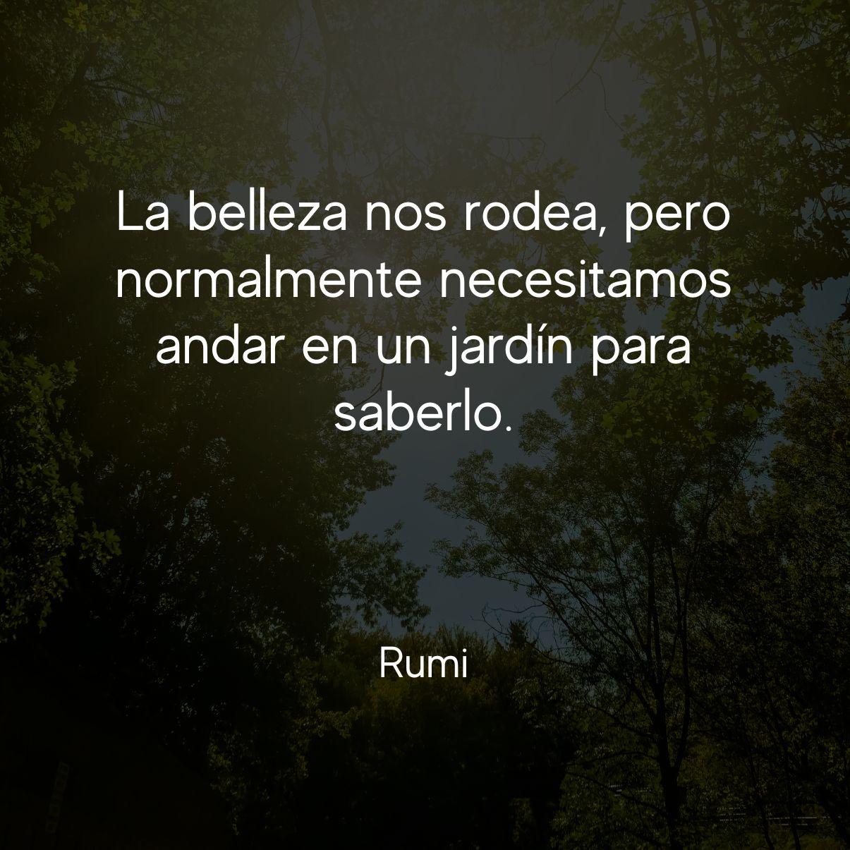 Frases De Rumi Sobre La Vida El Amor La Muerte Y La Amistad