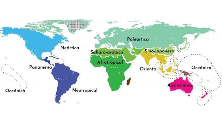 Regiones Biogeogr Ficas Del Mundo Y Sus Caracter Sticas