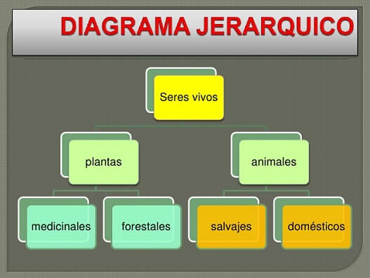 Organizadores Gráficos Qué Son Características Tipos Ejemplos 2022 4014