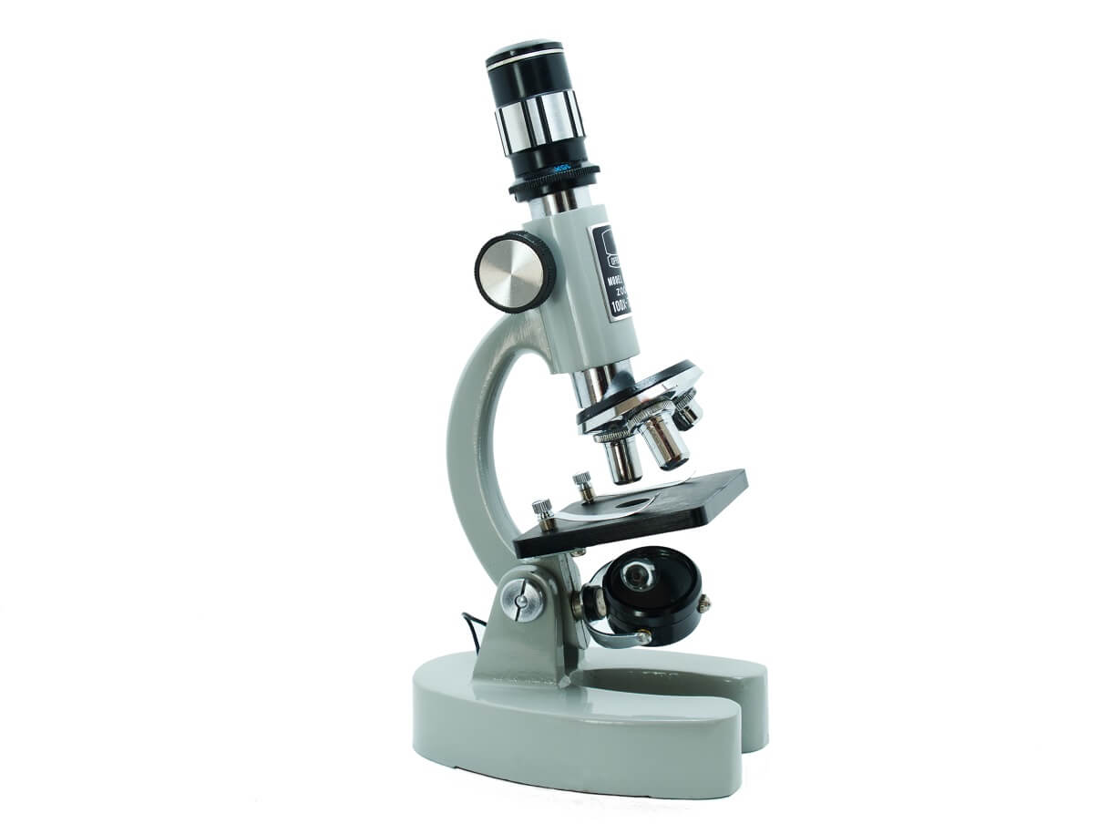 Los 20 Tipos De Microscopios Y Sus Funciones