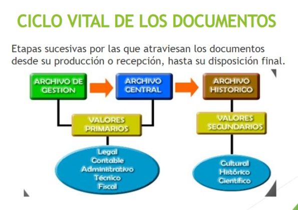 Tipos De Documentos Y Su Ciclo De Vida Ciclo Vital De 8968