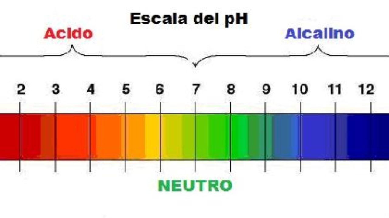 ¿Cómo afecta el desequilibrio del pH al ser humano?  - Lifeder