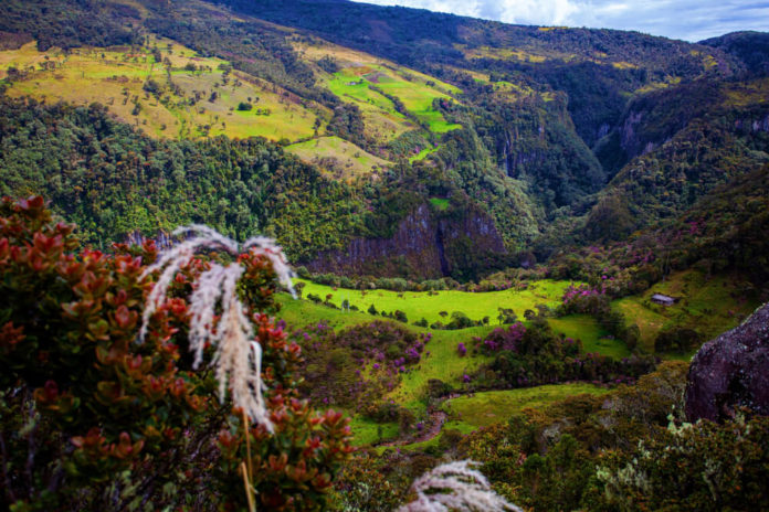 Los 23 Parques Naturales De La Región Andina Más Importantes 5024