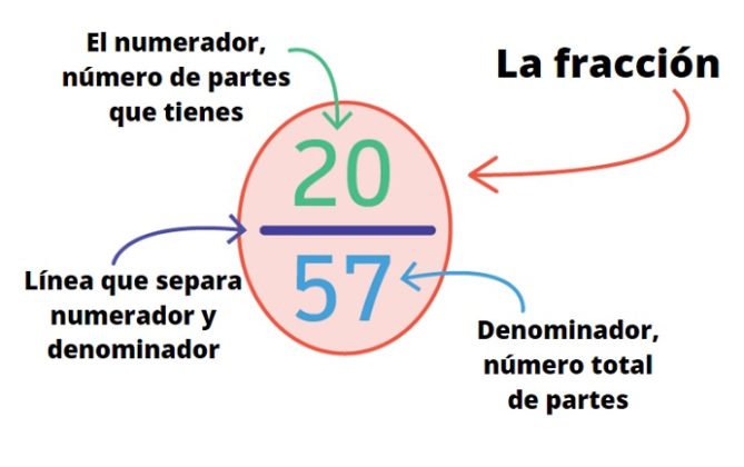 ¿Cuáles Son Las Partes De La Fracción? (Ejemplos)