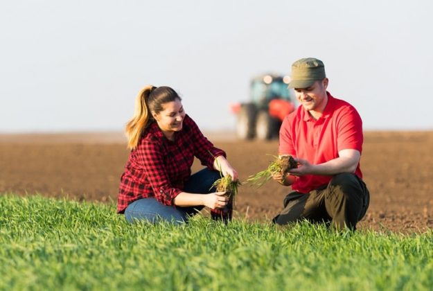 Sociología Rural Historia Campo De Estudio Importancia