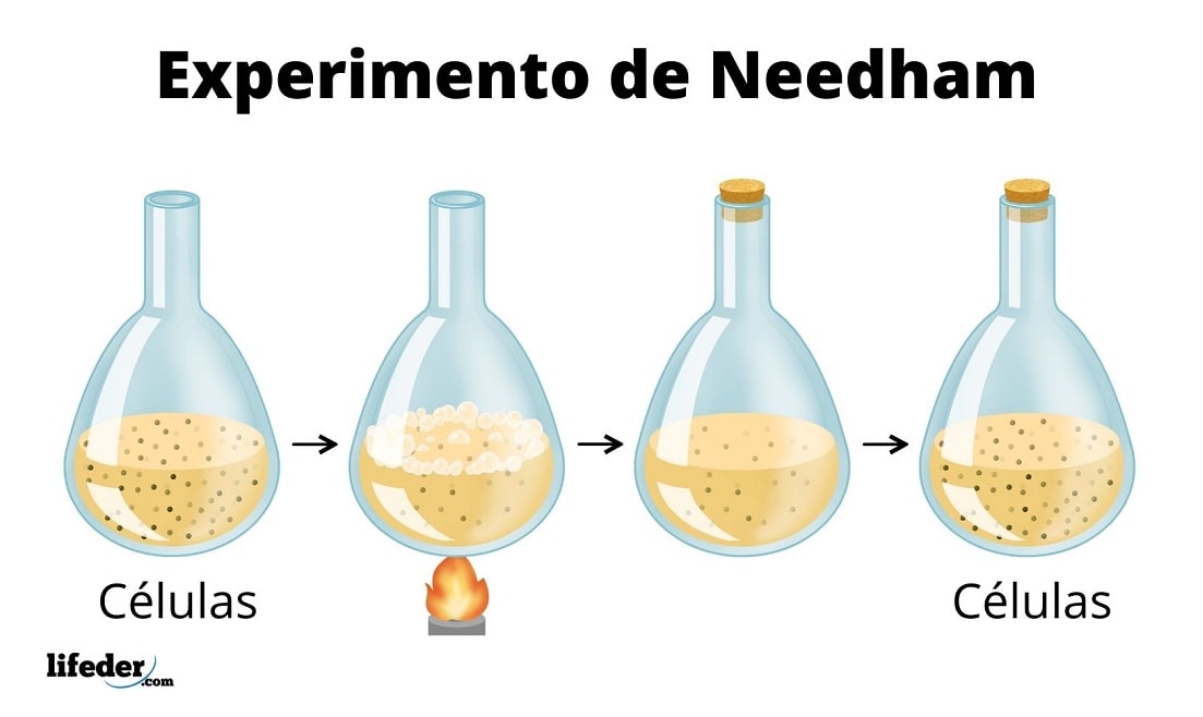 Generación espontánea historia, propuestas, experimentos