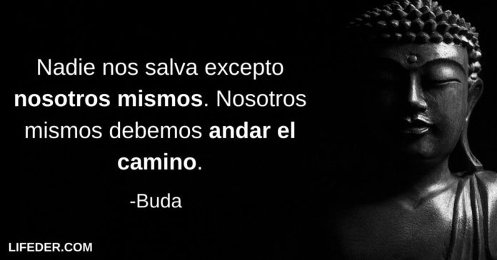 +100 Frases De Buda Sobre La Vida, Amor Y Más