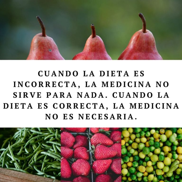 90 Frases De Nutrición Y Alimentación Saludable 5937