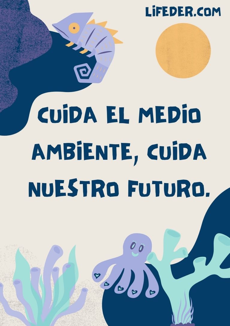 Frases Para Cuidar El Medio Ambiente Y La Naturaleza Cortas