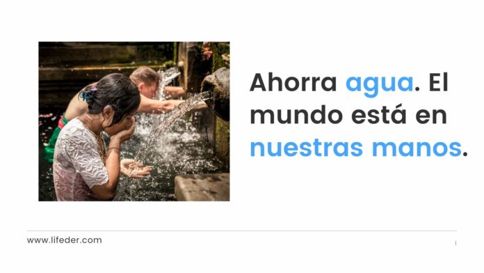 Frases Para Cuidar El Agua En Casa Y El Mundo Cortas