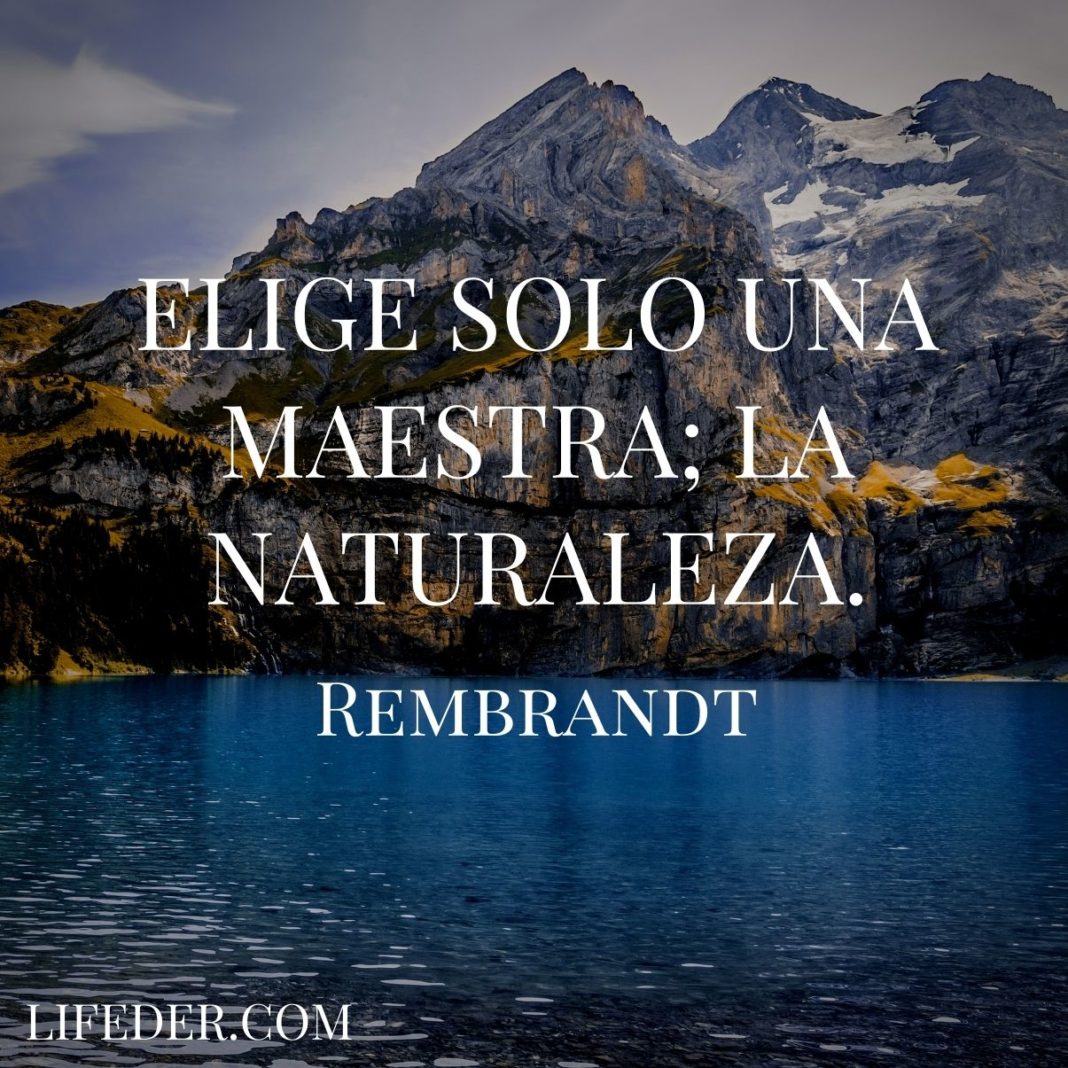 100+ Frases De La Naturaleza Para Cuidarla Y Conservarla (cortas)