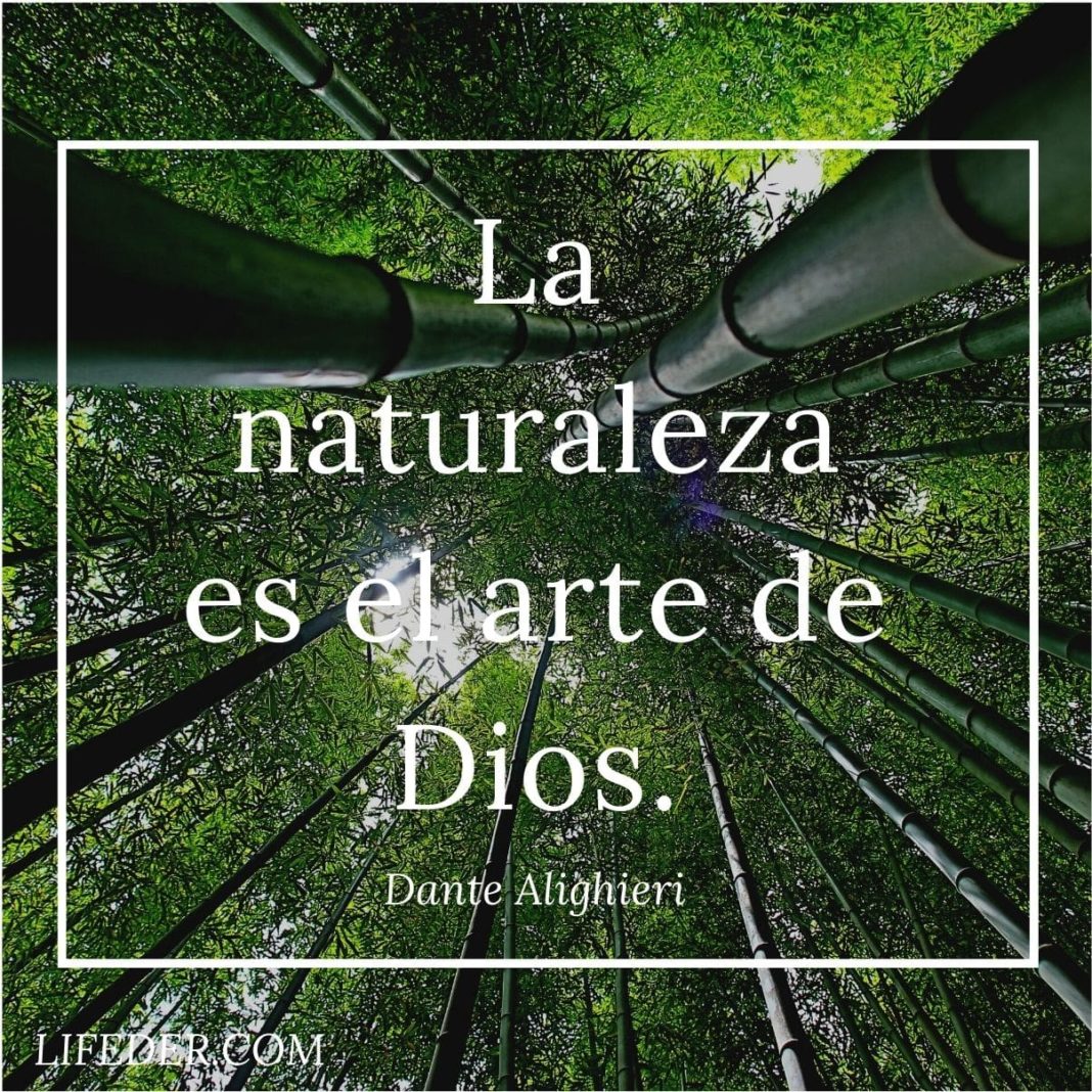 100+ Frases De La Naturaleza Para Cuidarla Y Conservarla (cortas)