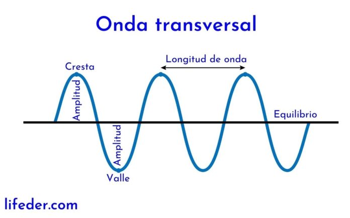 La ClasificaciÓn De Ondas Unidad Educativa Particular Marista FÍsica 8908