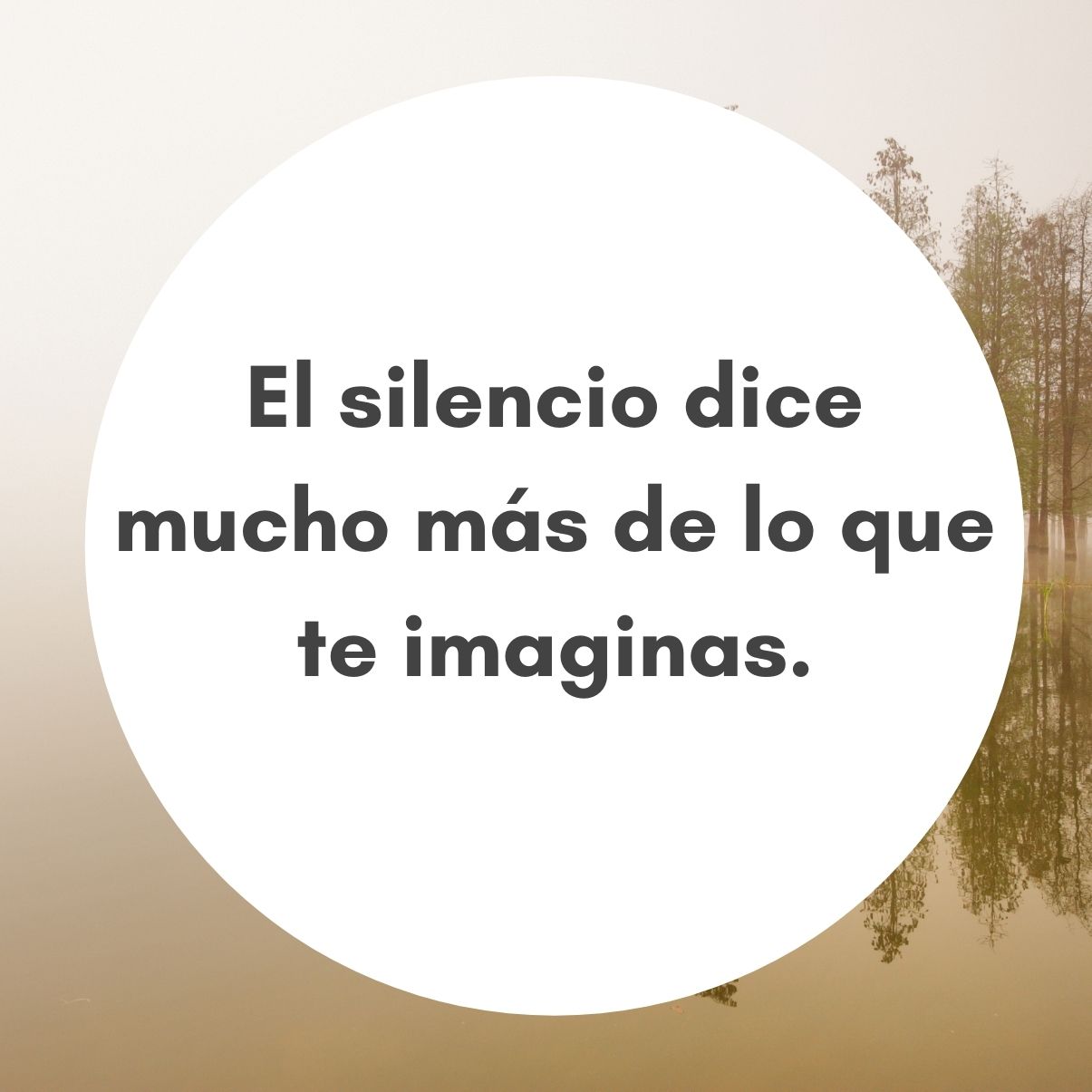 Introducir 64+ imagen frases sobre amar en silencio - Viaterra.mx
