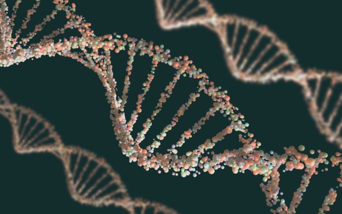 ADN: Qué Es, Características, Funciones, Estructura, Importancia