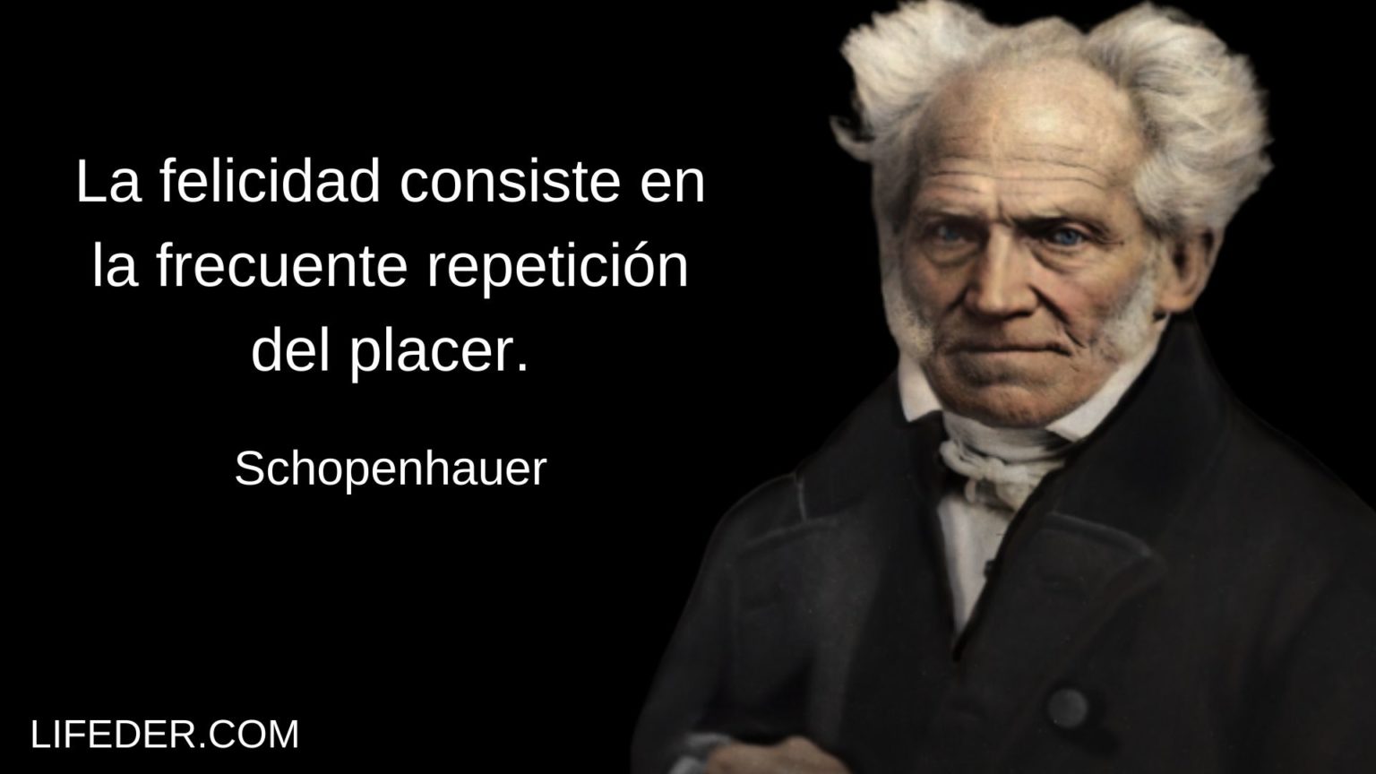 schopenhauer el arte de insultar pdf