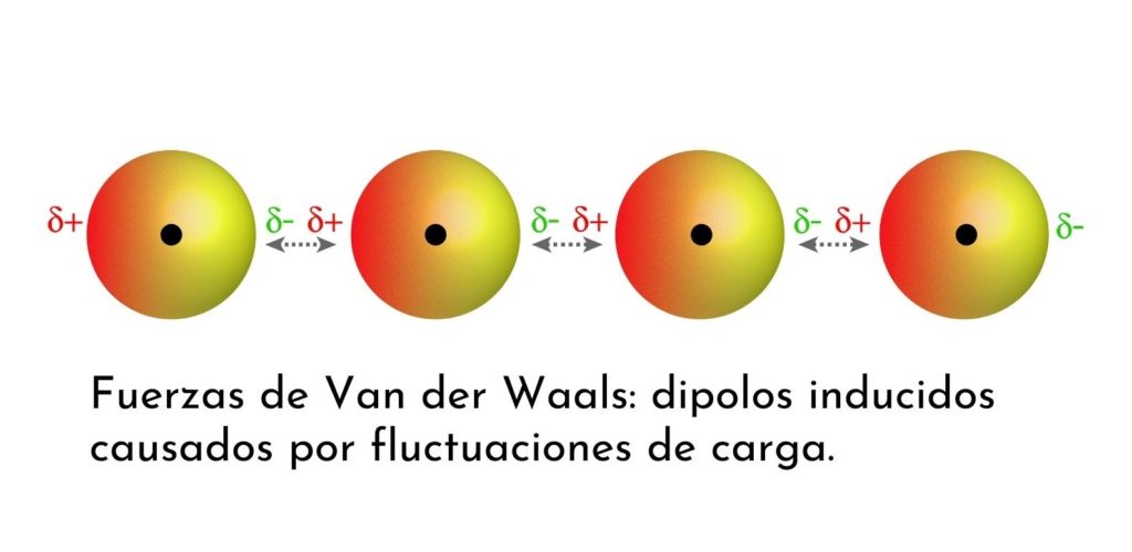 Fuerzas de Van der Waals: qué son, características, tipos, ejemplos