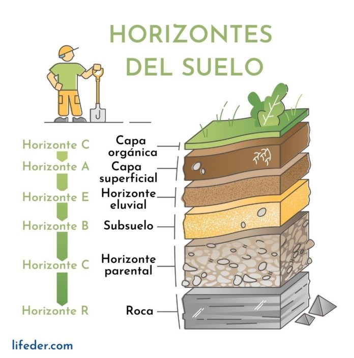 Ciencias Auxiliares De La Historia Y Qué Estudian