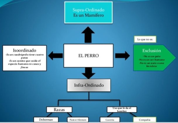 -Organizado de manera jerarquica
-Presentan ideas principales así no 
sean validad.