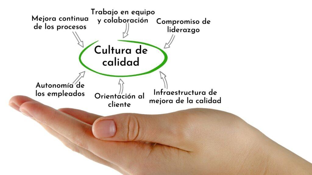 Cultura De Calidad Características Definición Desarrollo Ejemplos 2396