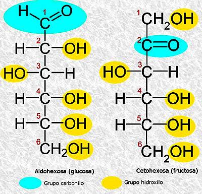Aldohexosa: estructura molecular y ejemplos