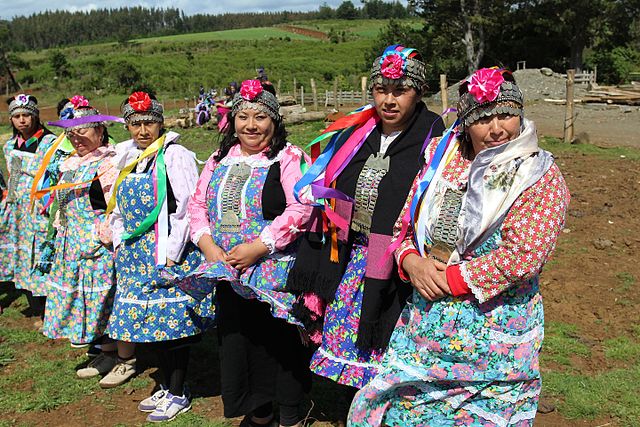 Mapuches: Historia, Características, Costumbres, Economía