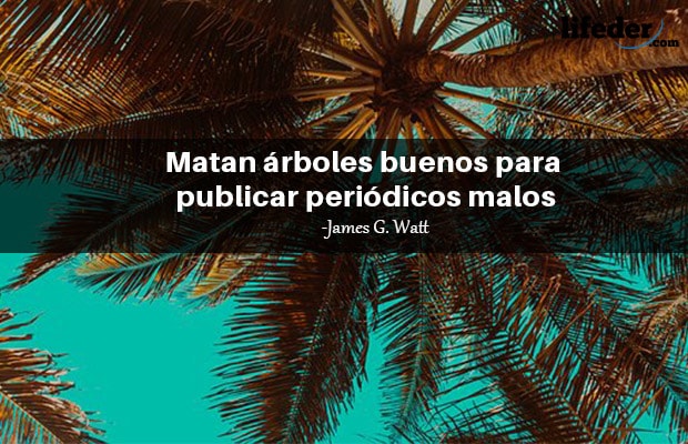 Las 101 mejores frases de árboles