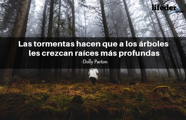 Las 101 mejores frases de árboles