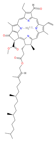 estructura de la clorofila b