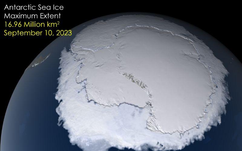 Círculo polar antártico: qué es, características, ubicación, fauna