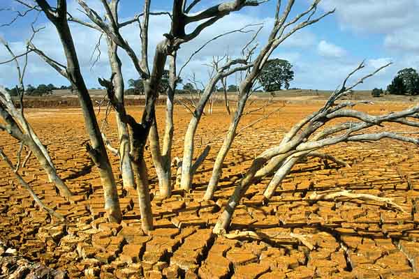 Contaminación del suelo causas, tipos, consecuencias