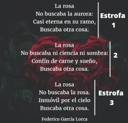 Estrofa: Qué Es, Características, Tipos Y Ejemplos