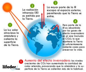 Efecto Invernadero: Qué Es, Cómo Se Produce, Causas, Gases