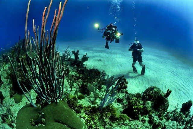 Parque Nacional Arrecifes de Cozumel: características, clima, flora, fauna