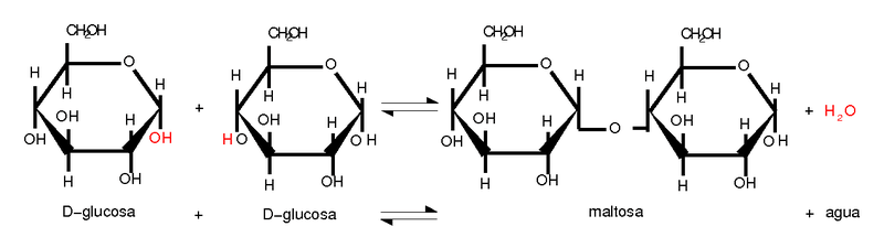 estructura de la celobiosa