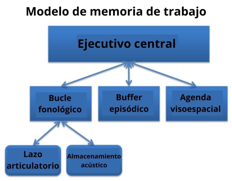 Memoria De Trabajo: Qué Es, Características, Cómo Funciona, Ejemplos