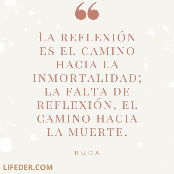 LA REFLEXIÓN_________________ La-reflexion-es-el-camino-min-696x696