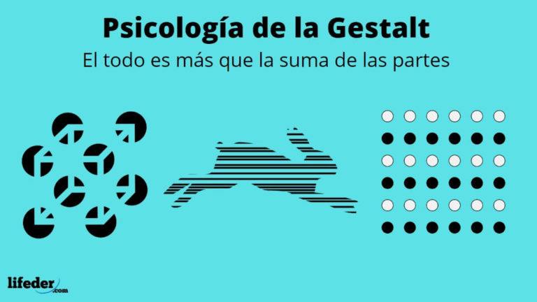 Psicología De La Gestalt Teoría Leyes Autores 6185