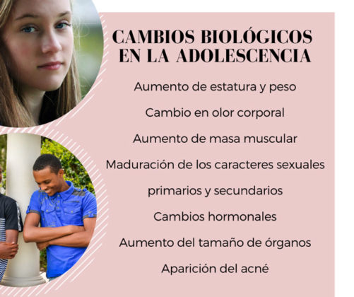 Cambios Biologicos En La Adolescencia 6852