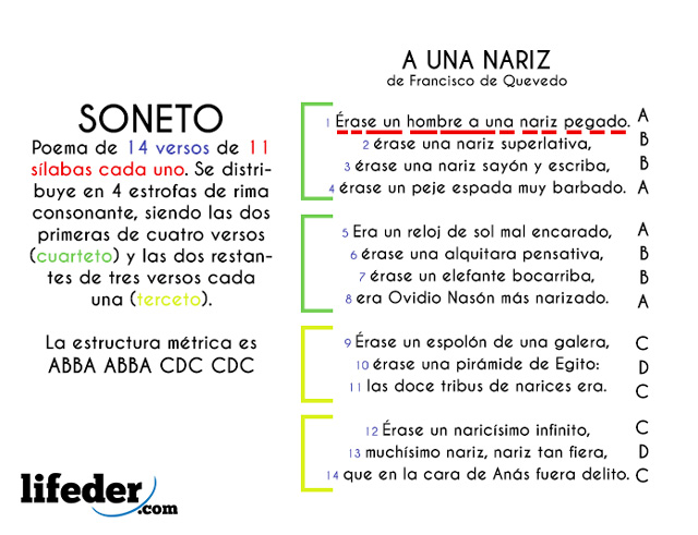 Estructura De Un Soneto