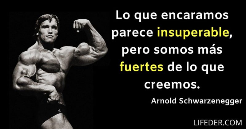 115 Frases De Gimnasio Motivadoras Para No Parar 1094