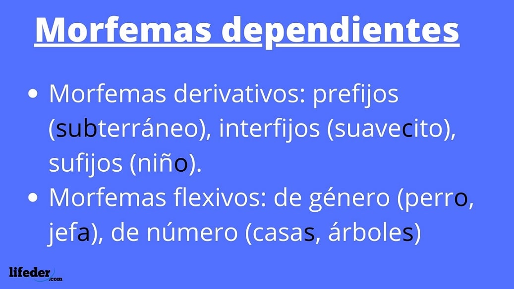 Morfemas Concepto Tipos Y Ejemplos