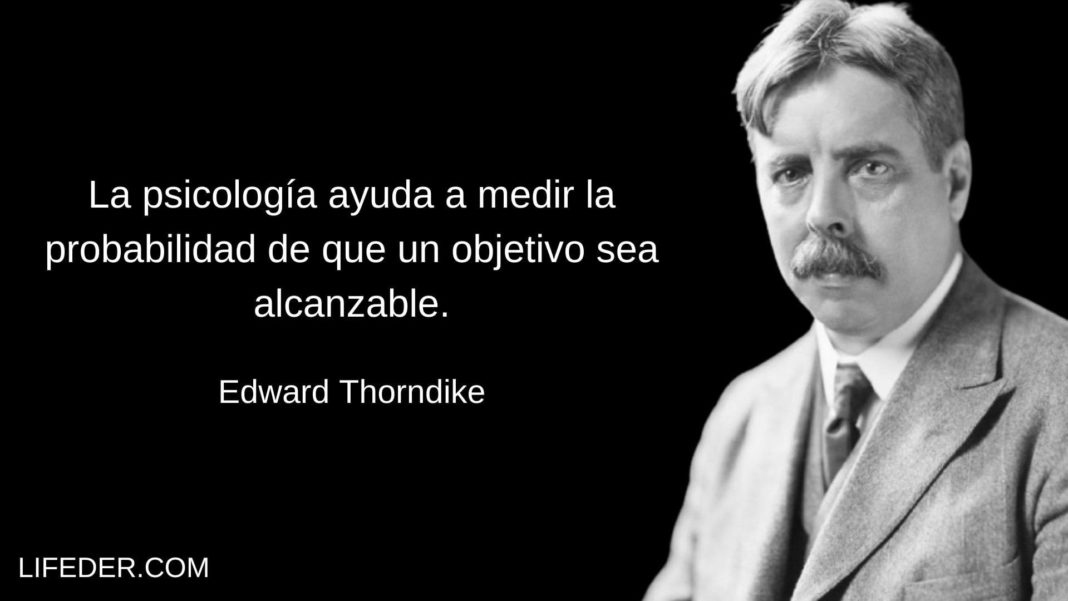 +100 Frases de Psicología para Pensar y Reflexionar (Cortas)