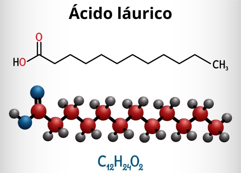 Lípidos Qué Son Características Ejemplos Estructura Función 5399