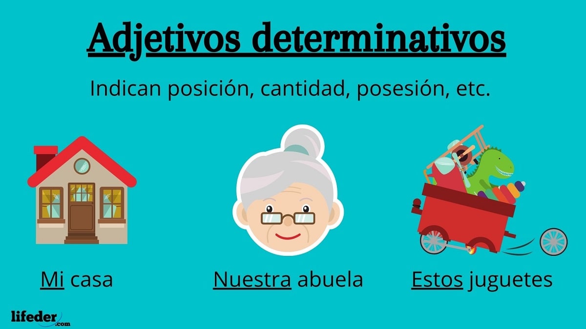 Adjetivos Determinativos Definicion Ejemplos Y Oraciones Images | My ...